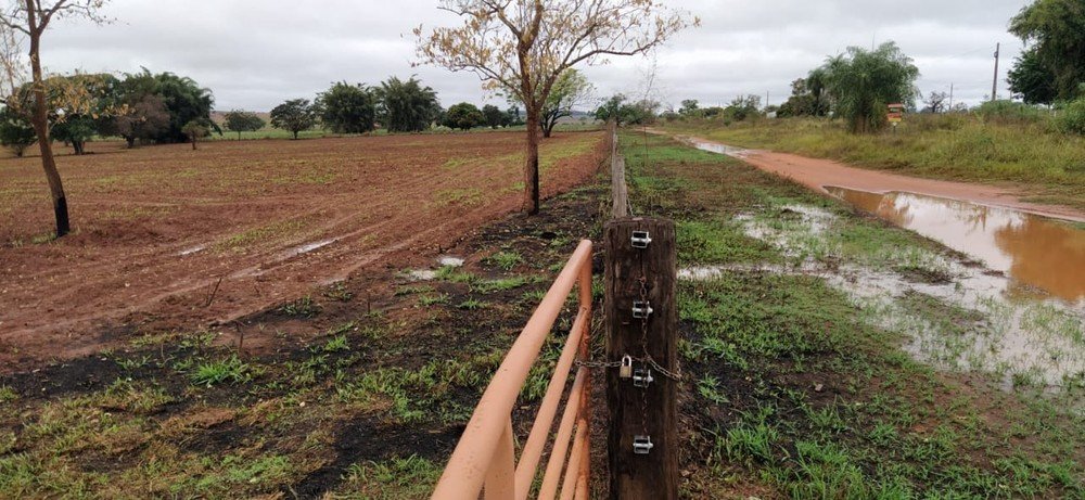 Uso irregular de fogo danifica área de 10,4 hectares e 16 árvores nativas em fazenda e homem é autuado em R$ 17,6 milem Caiuá