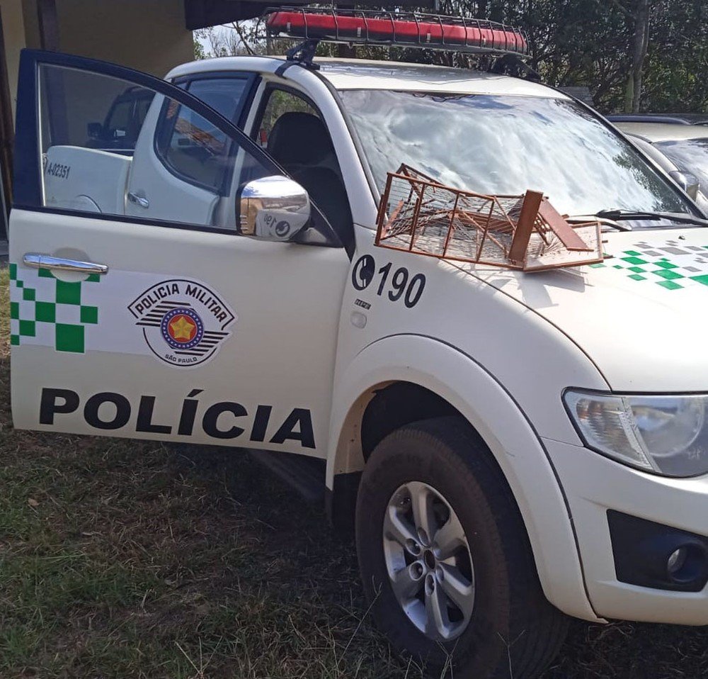 Polícia Ambiental resgata ave mantida irregularmente em cativeiro em Piquerobi