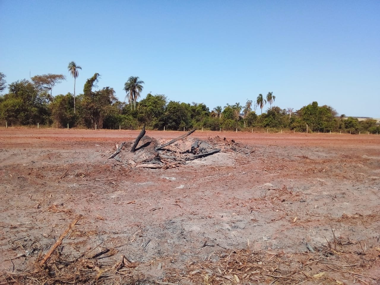 Arrendatário é multado em R$ 253 mil por incêndio ilegal da vegetação nativa