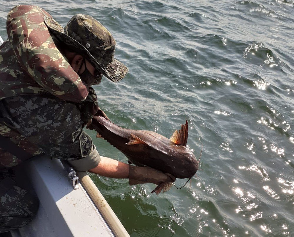 Fiscalização no Rio Paranapanema apreende 1,3 mil metros de redes de pesca armadas irregularmente Fiscalização no Rio Paranapanema apreende 1,3 mil metros de redes de pesca armadas irregularmente