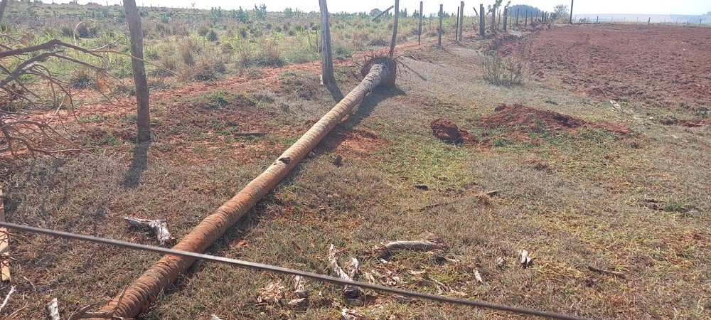 Após denúncia, Polícia Ambiental multa sitiante em R$ 2,7 mil pelo corte irregular de árvores nativas