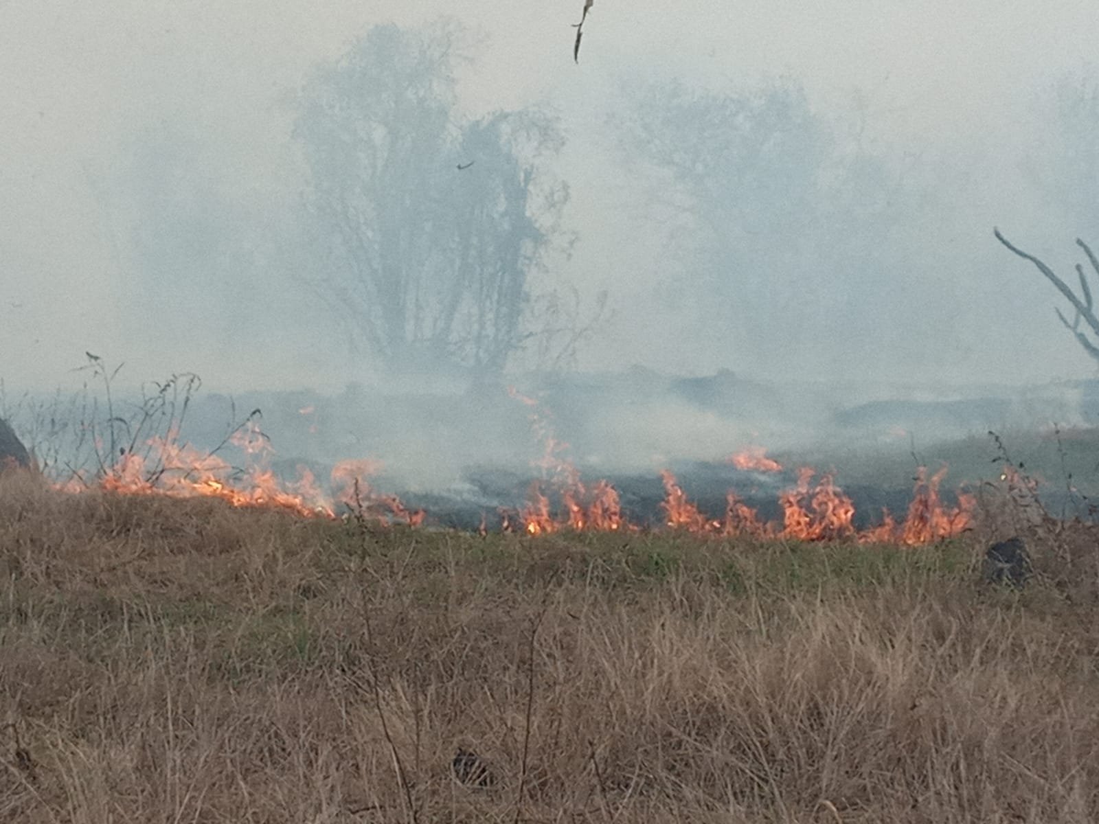 Venceslauense é multado em R$ 22 mil por incêndio em pastagem na zona rural de Bataguassu Venceslauense é multado em R$ 22 mil por incêndio em pastagem na zona rural de Bataguassu