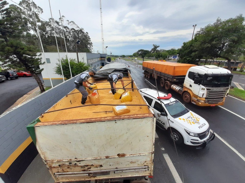 Fiscalização descobre 12 toneladas de maconha escondidas em meio a carga de soja transportada em carreta Fiscalização descobre 12 toneladas de maconha escondidas em meio a carga de soja transportada em carreta