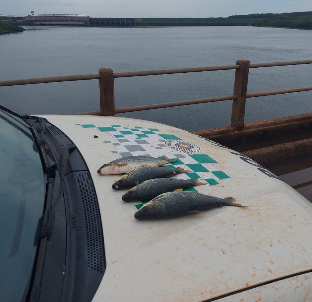 Homem é multado em R$ 1 mil após ser flagrado pescando com petrecho proibido no Rio Paranapanema Homem é multado em R$ 1 mil após ser flagrado pescando com petrecho proibido no Rio Paranapanema