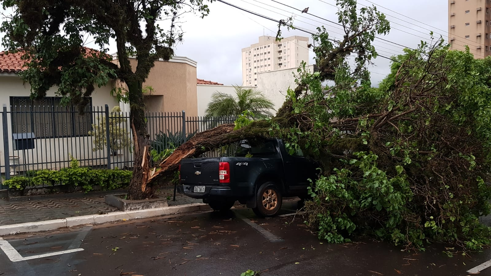 Forte chuva e vento causam estragos e parte de Presidente Venceslau fica sem energia Forte chuva e vento causam estragos e parte de Presidente Venceslau fica sem energia