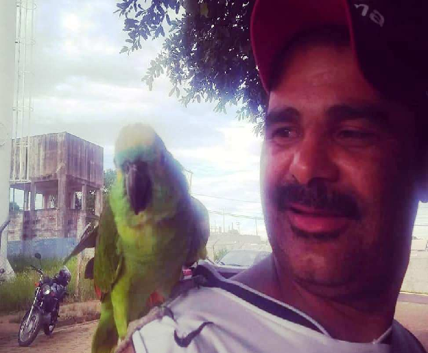 Ciclista morre após ser atropelado por picape na Raposo Tavares em Venceslau Ciclista morre após ser atropelado por picape na Raposo Tavares em Venceslau