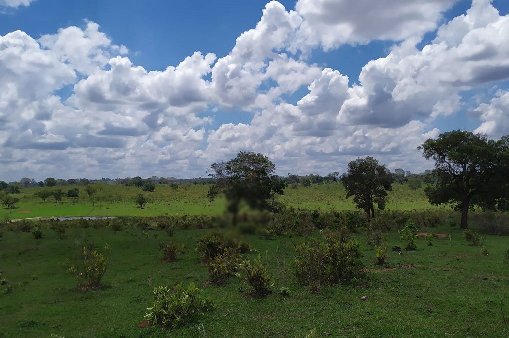 Jovem que estava desaparecido é encontrado morto em fazenda na região de Bataguassu Jovem que estava desaparecido é encontrado morto em fazenda na região de Bataguassu