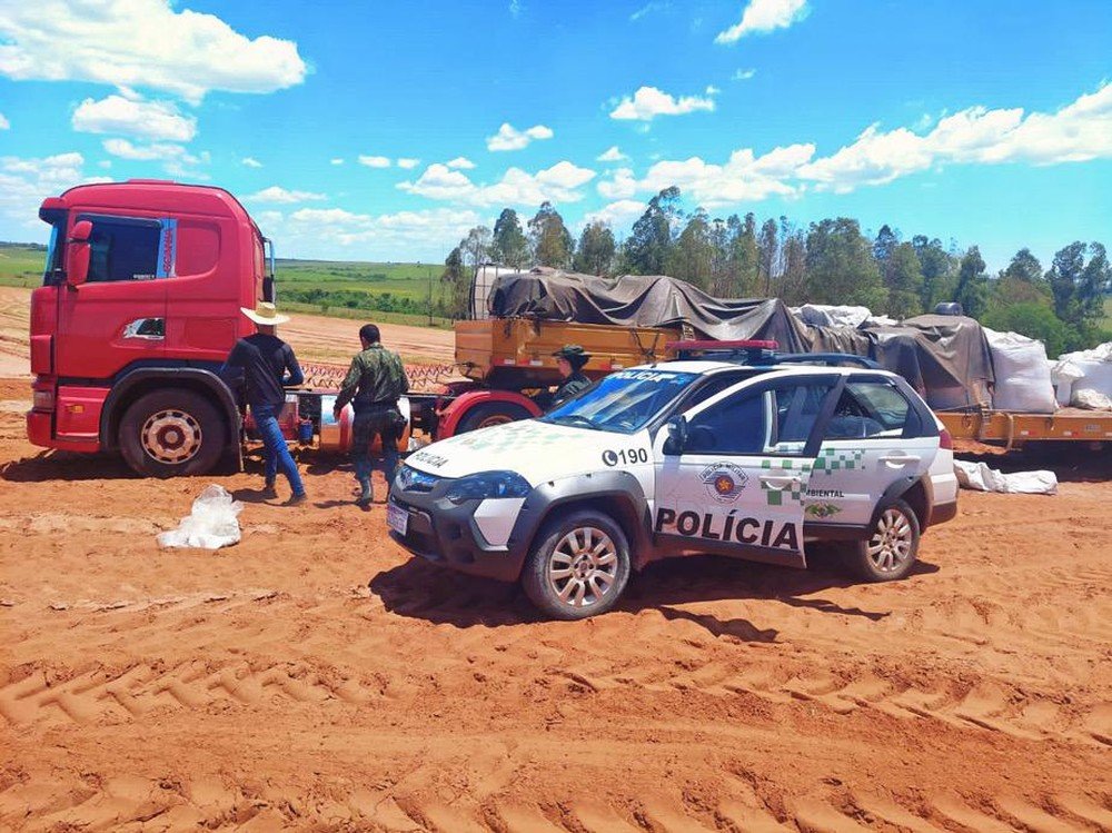 Homem é autuado em mais de R$ 50 mil pela derrubada irregular de 167 árvores em Caiuá Homem é autuado em mais de R$ 50 mil pela derrubada irregular de 167 árvores em Caiuá