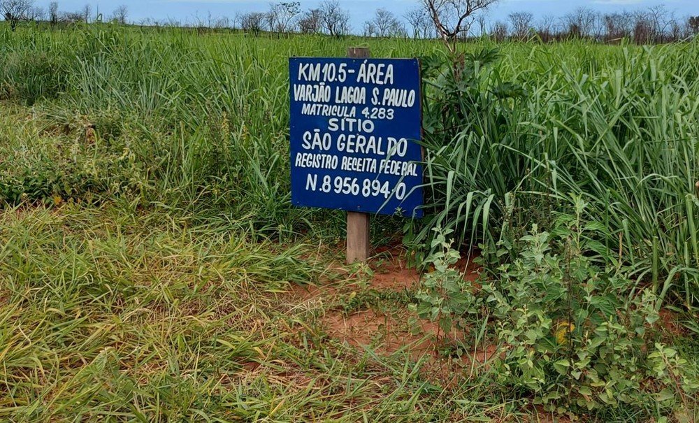 Polícia Federal cumpre reintegração de posse de área invadida dentro de reserva ambiental em Presidente Epitácio Polícia Federal cumpre reintegração de posse de área invadida dentro de reserva ambiental em Presidente Epitácio