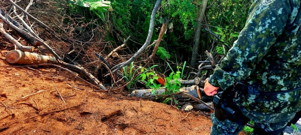 Dono de chácara recebe R$ 40 mil em multas por corte de árvores e degradação ambiental Dono de chácara recebe R$ 40 mil em multas por corte de árvores e degradação ambiental