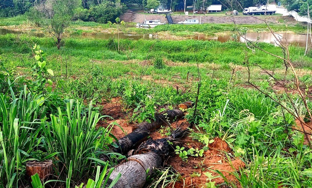 Dono de chácara recebe R$ 40 mil em multas por corte de árvores e degradação ambiental Dono de chácara recebe R$ 40 mil em multas por corte de árvores e degradação ambiental