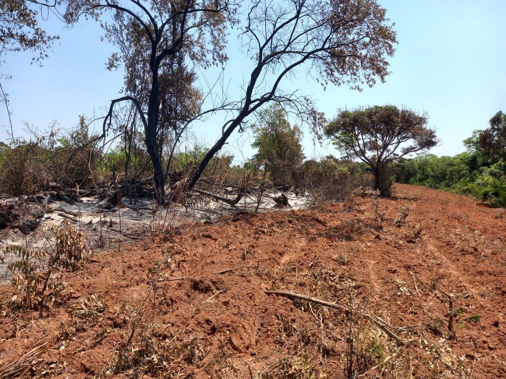 Assentado recebe multa de R$ 6,5 mil por atear fogo e destruir área de vegetação nativa Assentado recebe multa de R$ 6,5 mil por atear fogo e destruir área de vegetação nativa