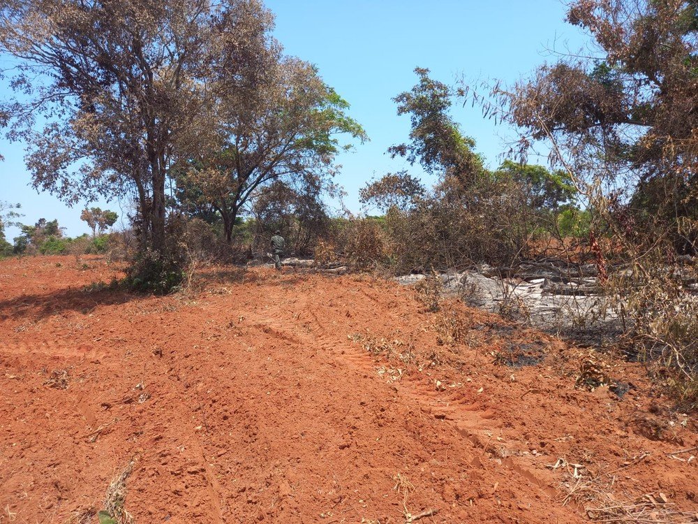 Assentado recebe multa de R$ 6,5 mil por atear fogo e destruir área de vegetação nativa Assentado recebe multa de R$ 6,5 mil por atear fogo e destruir área de vegetação nativa