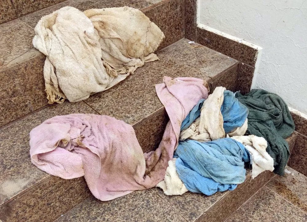 Médico veterinário é multado em R$ 21 mil por maus-tratos a seis cachorros e um gato Médico veterinário é multado em R$ 21 mil por maus-tratos a seis cachorros e um gato