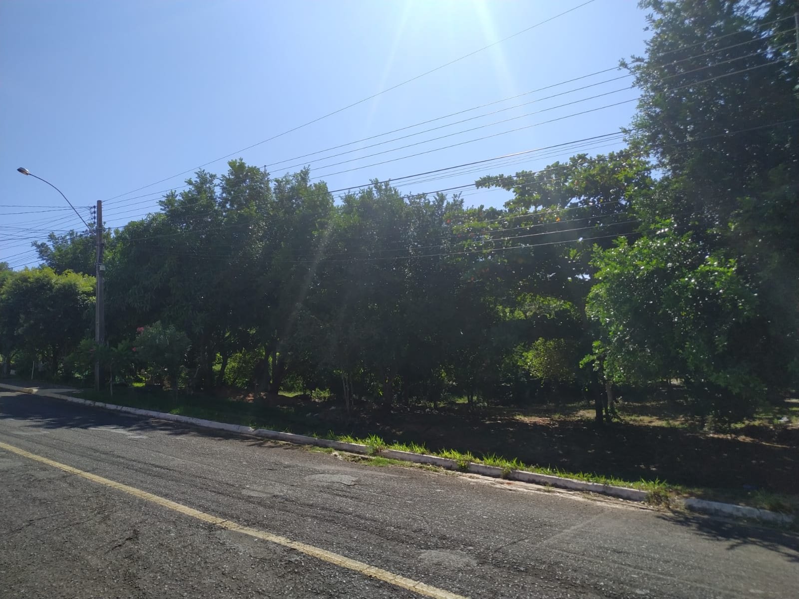 Homem é encontrado morto em área verde do bairro Azuma Futigami Homem é encontrado morto em área verde do bairro Azuma Futigami