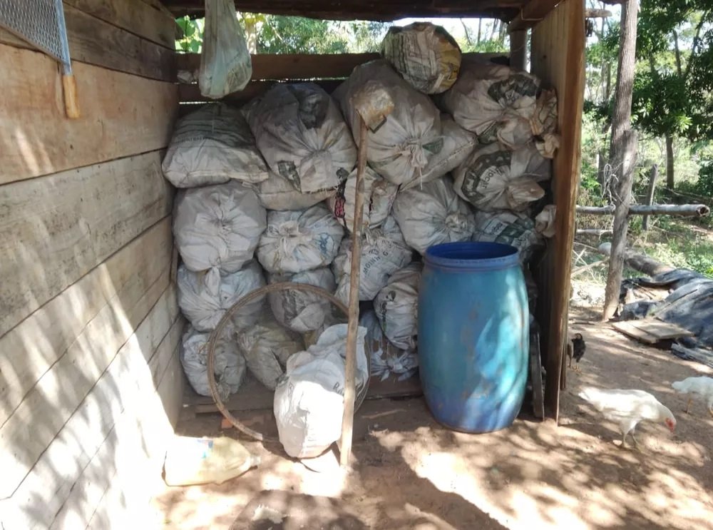 Estoque de 350 quilos de carvão vegetal é apreendido em carvoaria clandestina