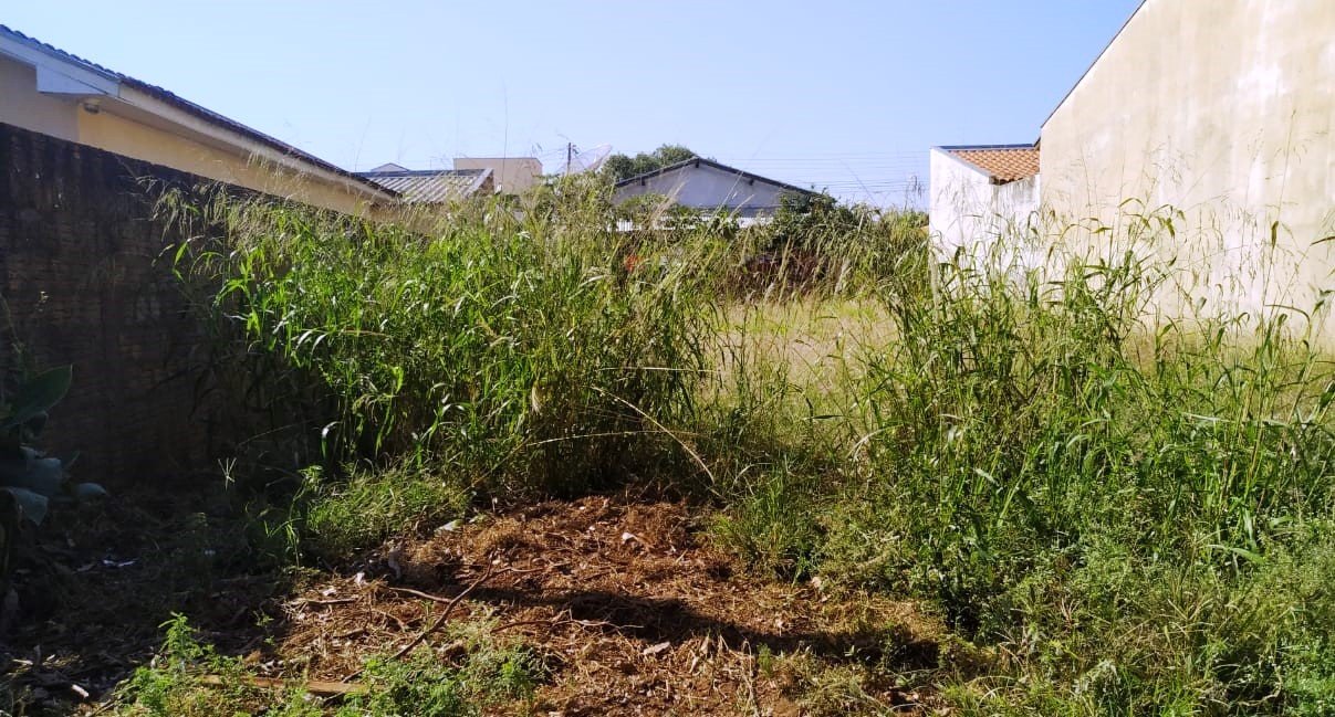 Setor de Fiscalização da Prefeitura notificará terrenos para limpeza no Residencial da Faive Setor de Fiscalização da Prefeitura notificará terrenos para limpeza no Residencial da Faive