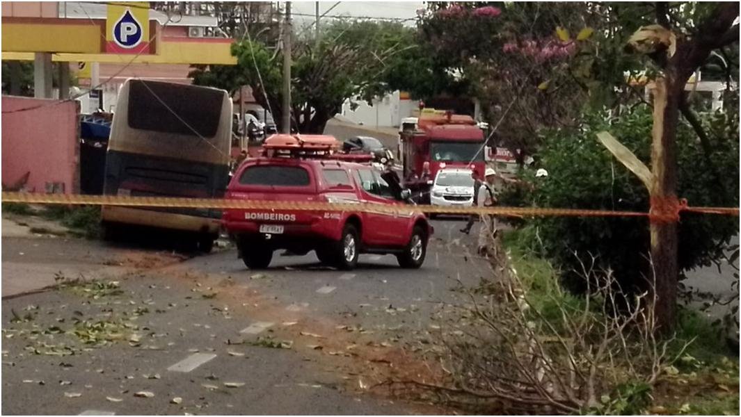 Ônibus desgovernado atinge rede elétrica, derruba árvores e invade posto de combustíveis em Presidente Prudente