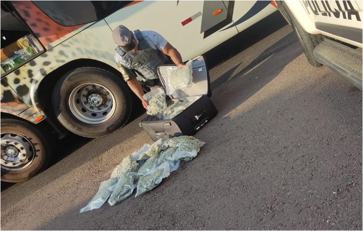 Polícia Rodoviária apreende mais de 17 quilos de “skank” na Rodovia Raposo Tavares, em Presidente Venceslau Polícia Rodoviária apreende mais de 17 quilos de “skank” na Rodovia Raposo Tavares, em Presidente Venceslau