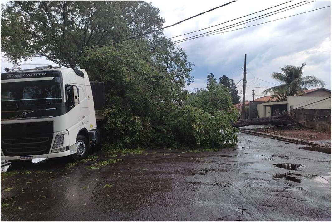 Temporal provoca “estragos” em Lucélia (SP)