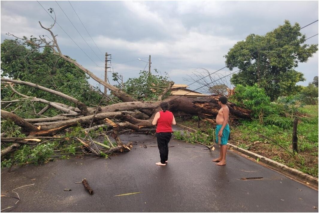 Temporal provoca “estragos” em Lucélia (SP)