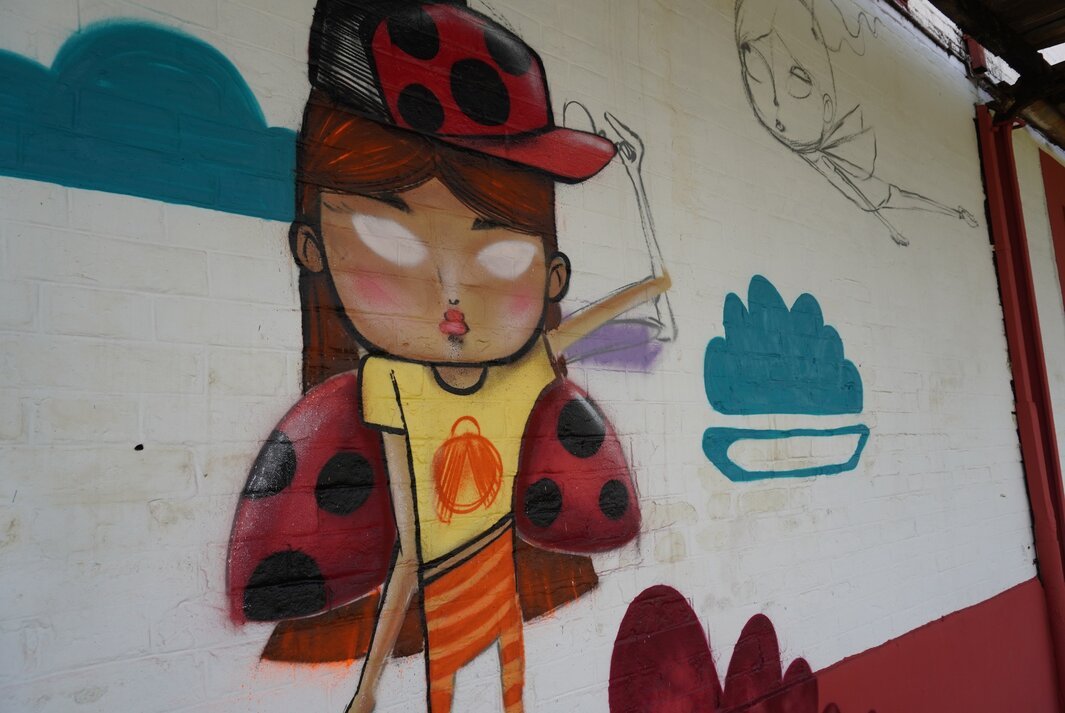 1º “Festival do grafite” está sendo realizado em Presidente Venceslau