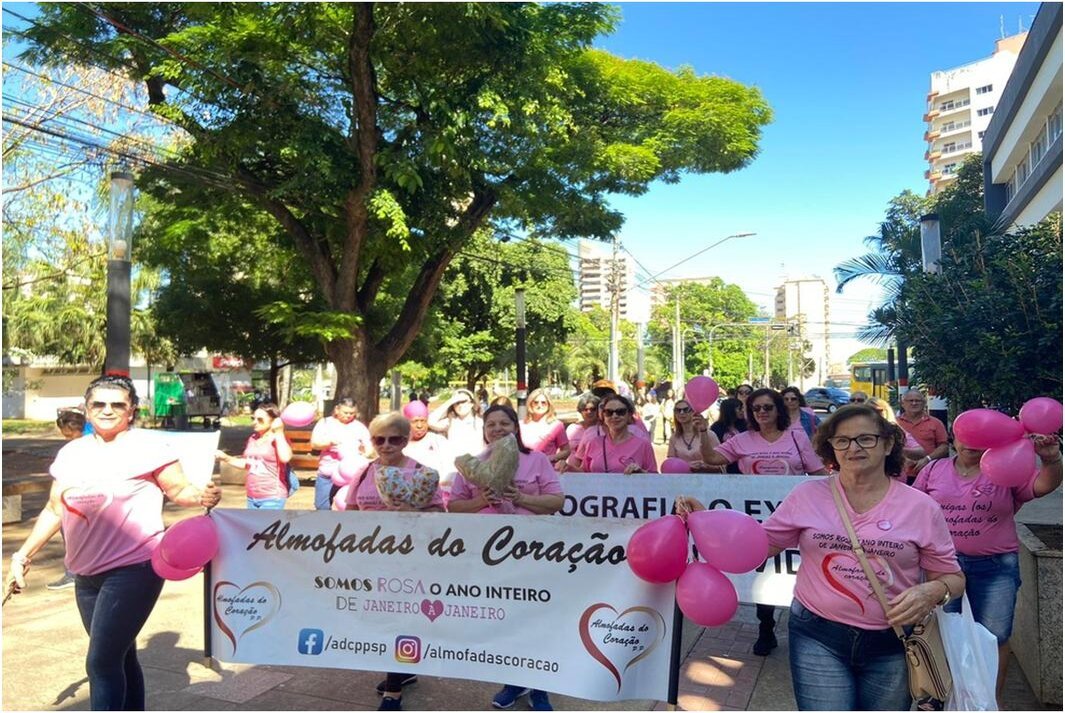 Fiéis católicos participam de Marcha pela Vida em Presidente Prudente (SP)