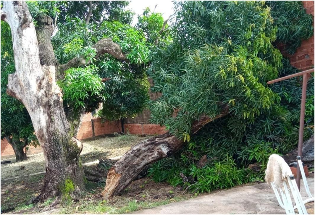 Temporal com ventos de 60 km/h provocam estragos em Presidente Venceslau e cidades da região