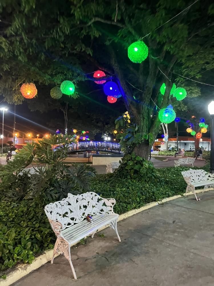 Prefeitura de Regente Feijó usa 30 mil garrafas pet para criar decoração de Natal Prefeitura de Regente Feijó usa 30 mil garrafas pet para criar decoração de Natal