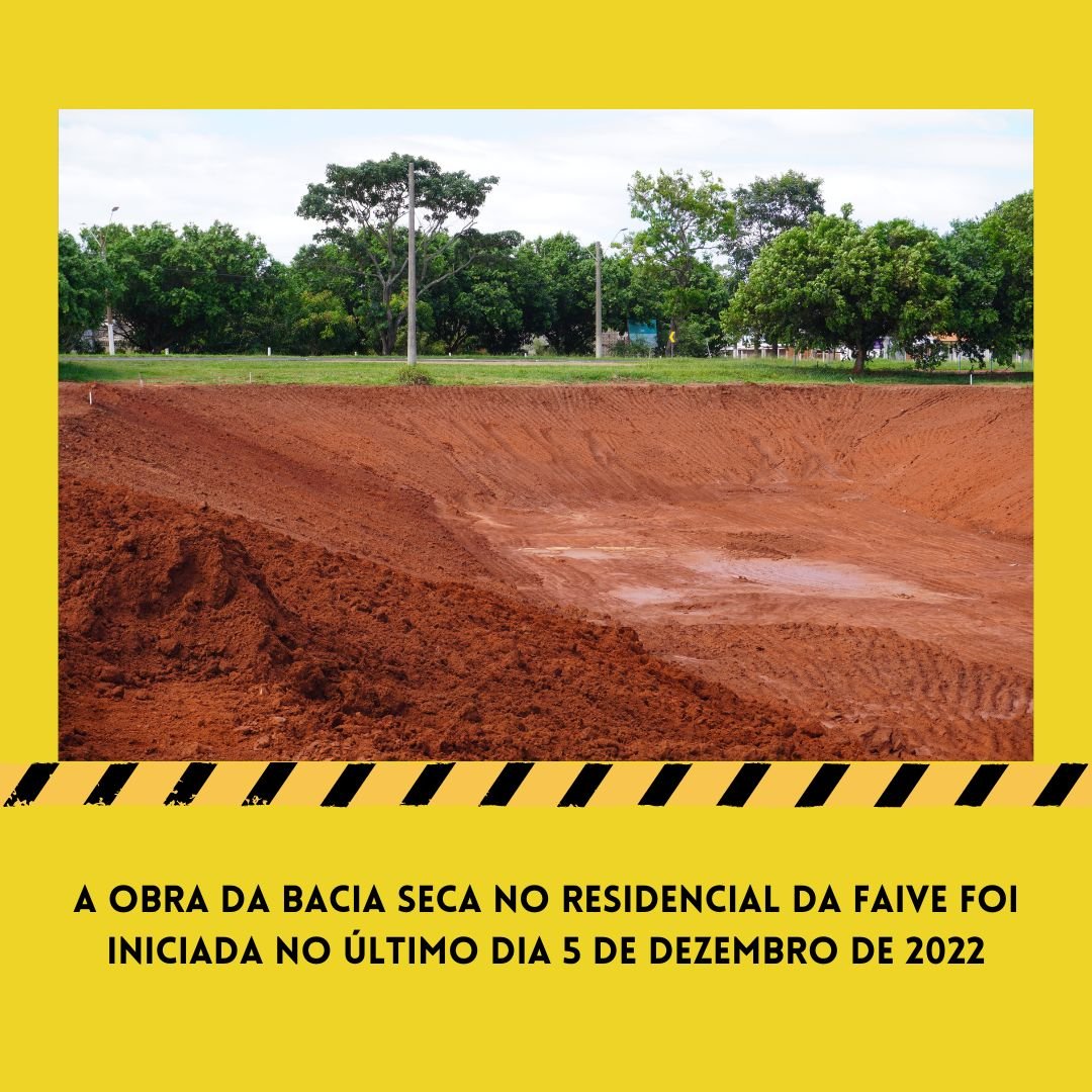Confira o 