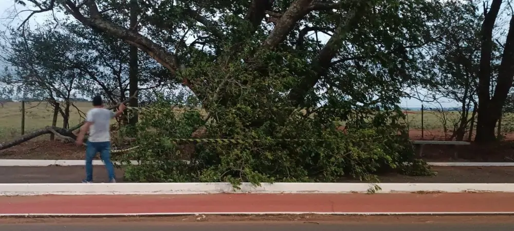 'Fenômeno climático'; Cidades do Oeste Paulista incluindo Venceslau,foram atingidas por ventos que ultrapassaram os 80km/h, causando diversos prejuízos!