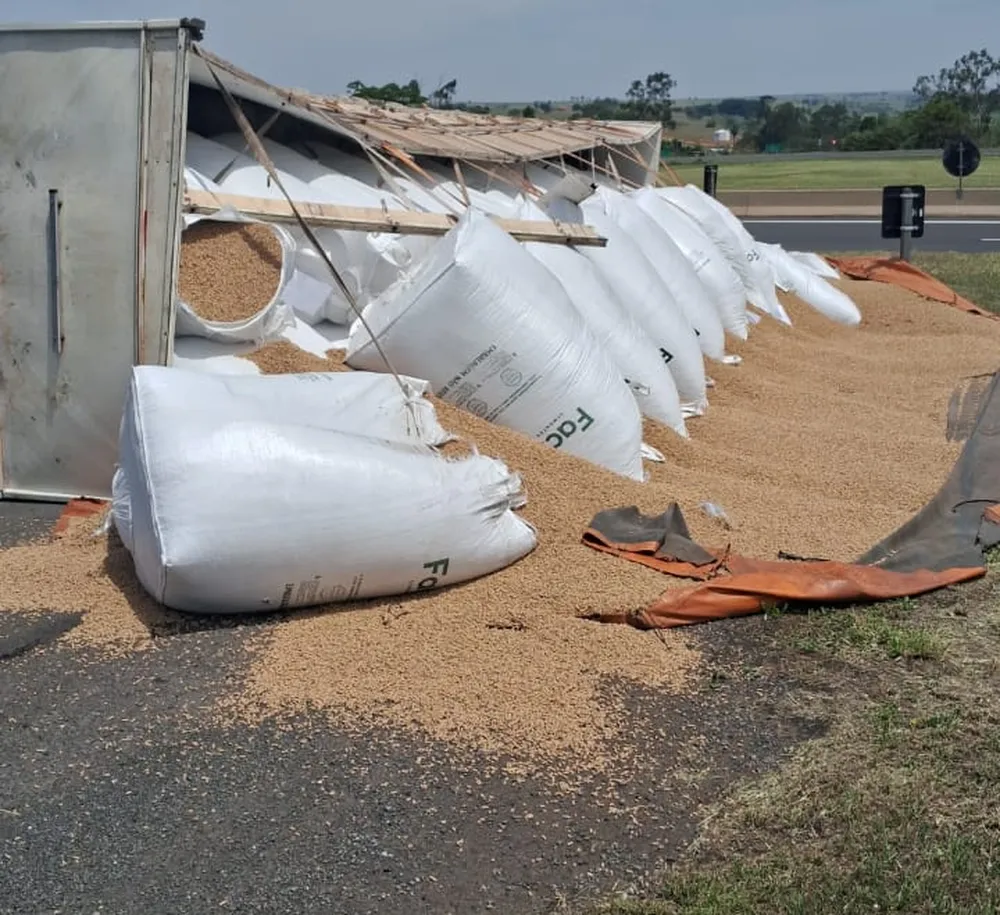 'Acidente na Rodovia'; Carreta tomba em alça de acesso e derrama carga de ração animal na pista, em Venceslau!
