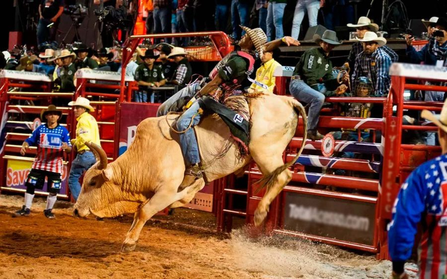 'Prudente Rodeo Bulls'; Do Embaixador a Boiadeira, e Maiara e Maraisa com Luan Pereira, grande evento tem sua estréia hoje!
