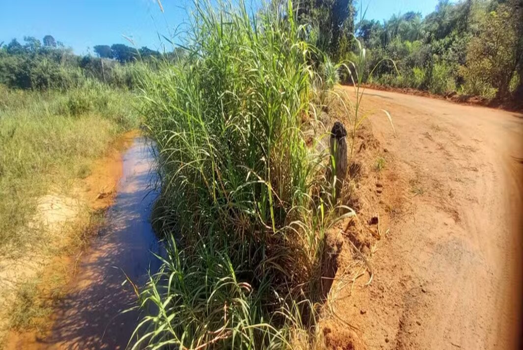 'Preservação Permanente'; Homem é multado em mais de R$ 3 mil reais após destruir área de vegetação nativa, para manutenção de estrada rural em Venceslau!