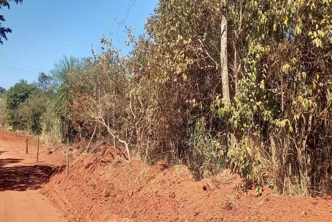 'Preservação Permanente'; Homem é multado em mais de R$ 3 mil reais após destruir área de vegetação nativa, para manutenção de estrada rural em Venceslau!