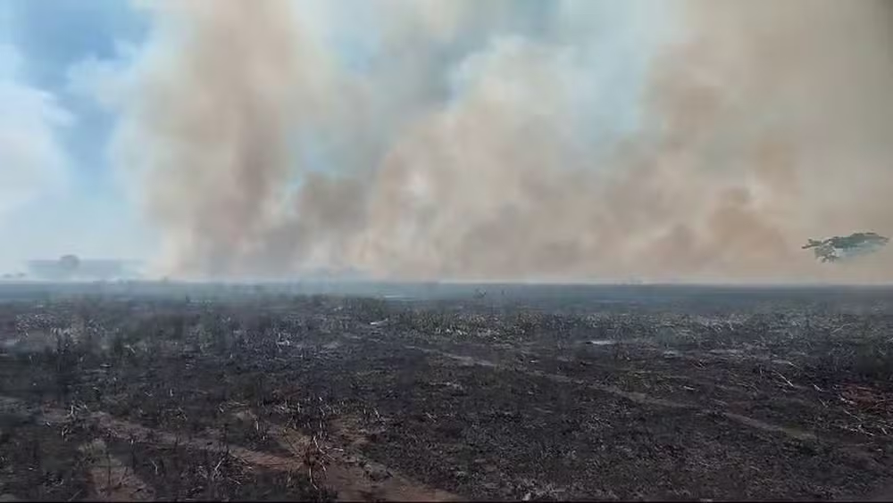 'Grandes Proporções'; Fogo atinge fazenda próxima ao Parque Estadual 