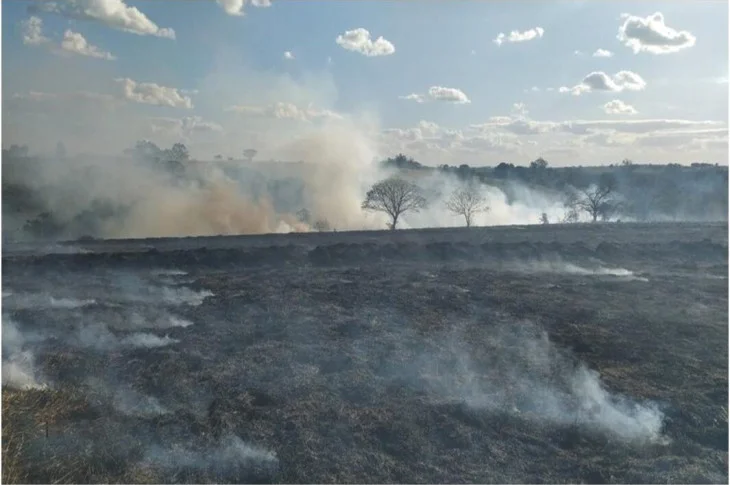 'Área de Preservação'; Incêndio de grande porte atinge, área de pastagem e vegetação em Prudente!