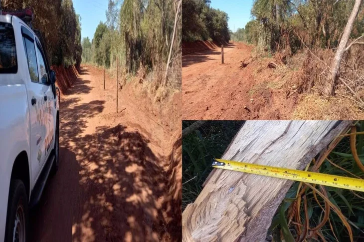 'Preservação Permanente'; Homem é multado em mais de R$ 3 mil reais após destruir área de vegetação nativa, para manutenção de estrada rural em Venceslau!