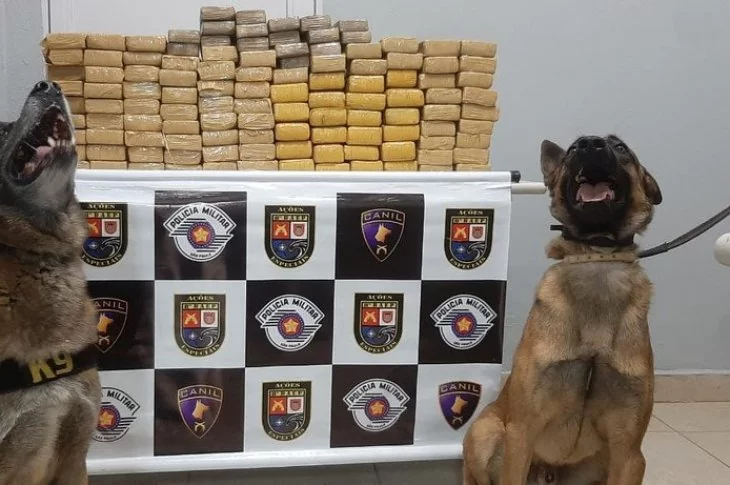 Abordagem policial acaba com 88 kg de maconha apreendidos e casal de namorados preso em flagrante