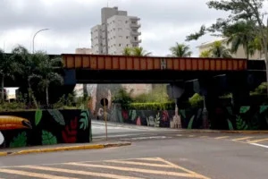 Ação rápida da Polícia Civil evita tragédia em pontilhão ferroviário de Presidente Venceslau