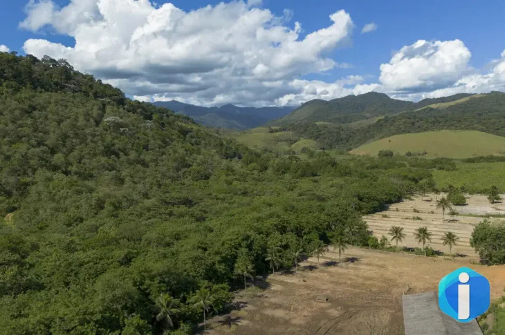 Agricultura ganha 11 milhões de hectares em 41 anos na Mata Atlântica