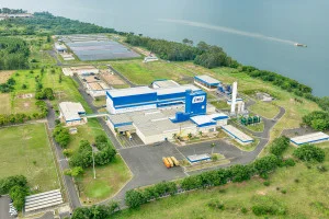 Anvisa reconhece oficialmente eficácia de colágeno fabricado em Presidente Epitácio