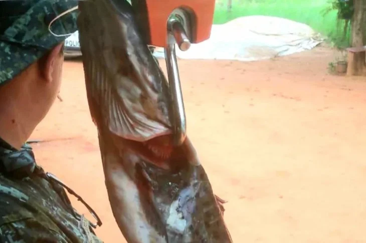 Após denúncia, pescador é multado em mais de R$ 1,1 mil pelo armazenamento irregular de peixes