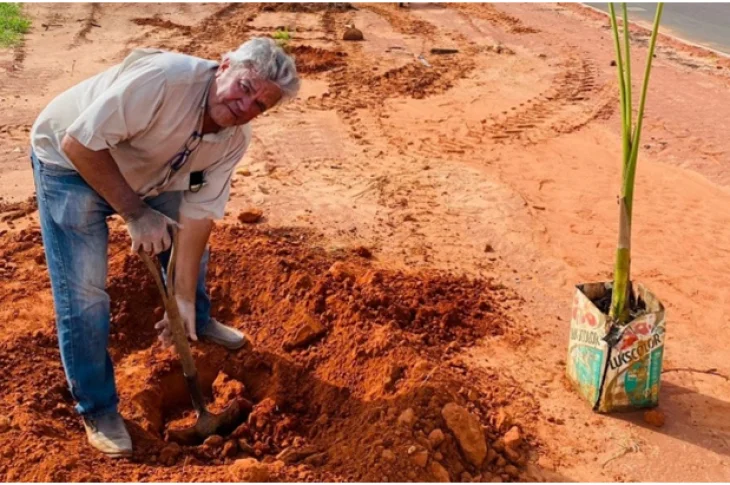 Área na saída de Presidente Venceslau recebe plantação de mudas de árvore