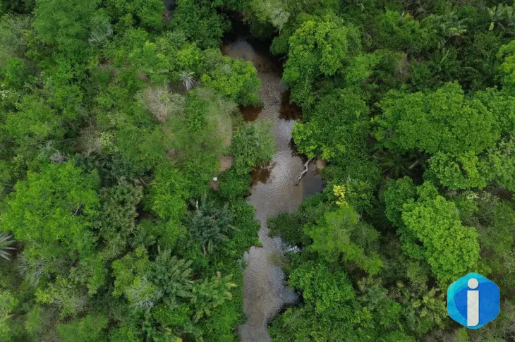 Área queimada no Brasil fica 31% abaixo da média histórica em 2025