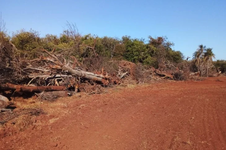 Arrendatário é multado em R$ 253 mil por incêndio ilegal da vegetação nativa