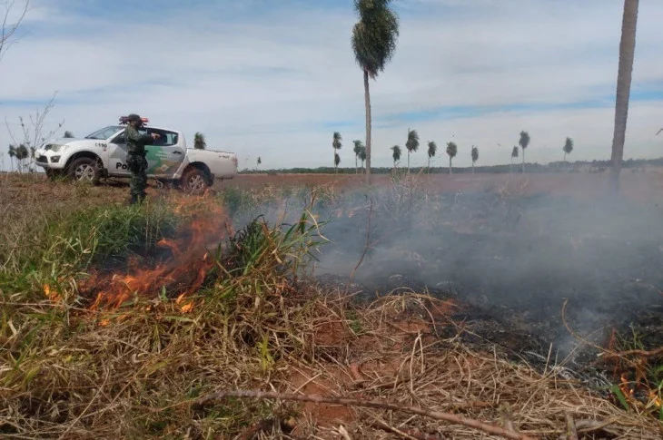 Árvores nativas são incendiadas após fazendeiro usar fogo em restos de plantação de mandioca