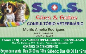 SOS Cães e Gatos