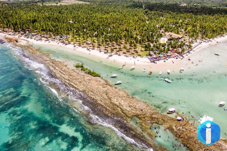Barulho de barco e de turistas afeta comunicação de peixes, diz estudo