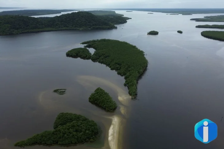 Carbono azul ganha espaço na agenda climática dos oceanos